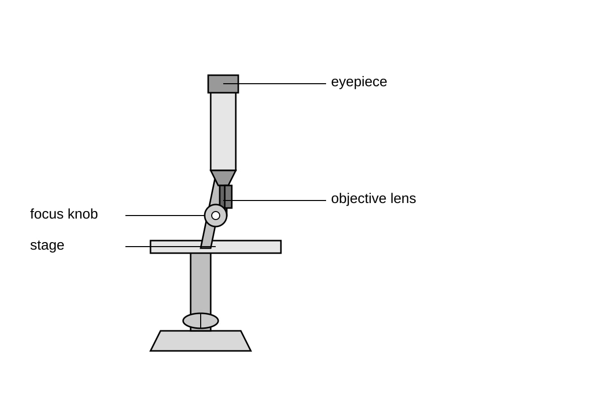 Diagram for Q11 (SEC1 Science)