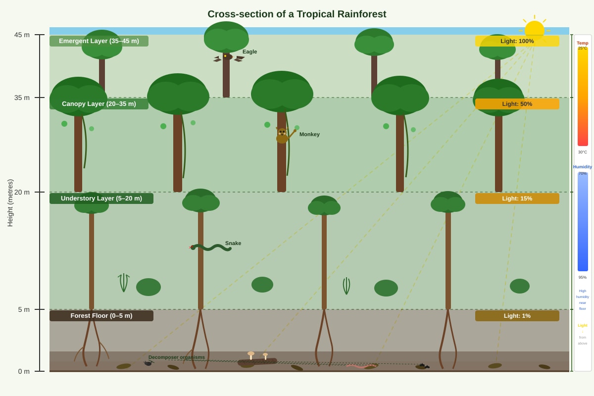 Diagram for Q9 (SEC1 Geography)