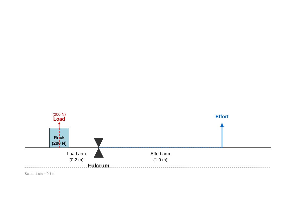 Diagram for Q34 (P6 Science)