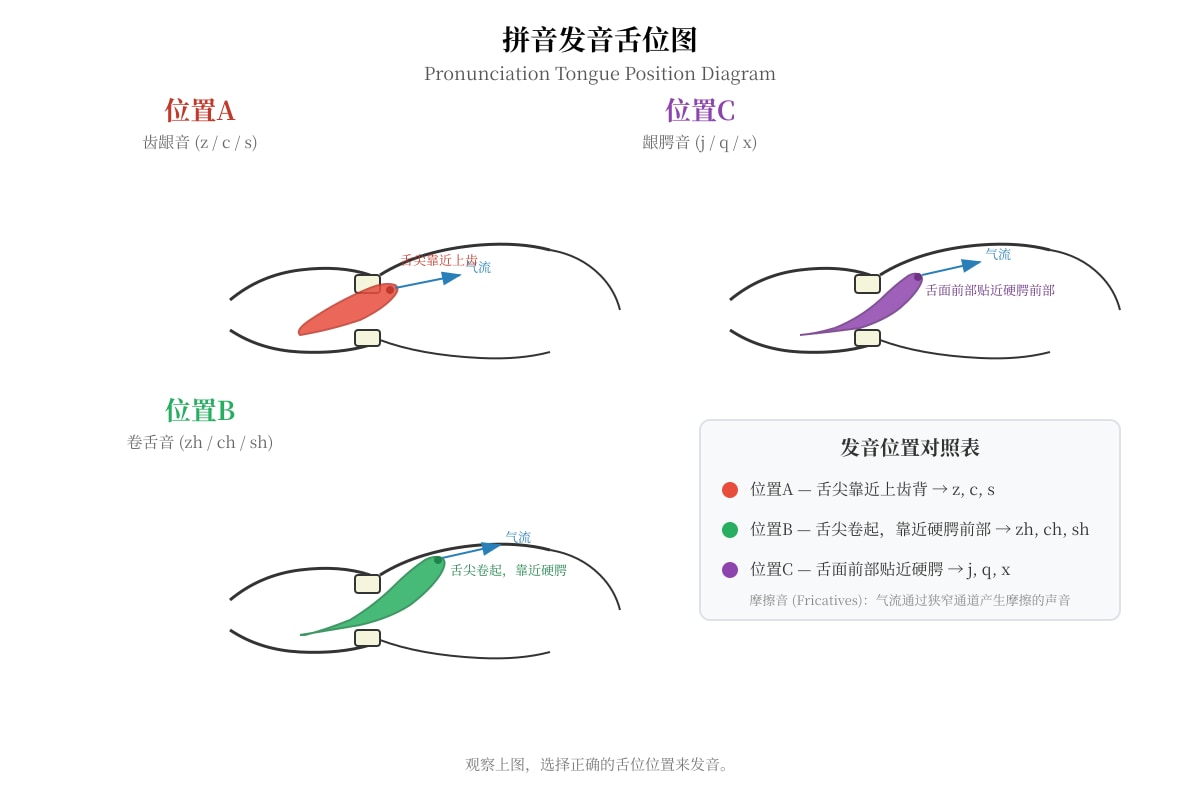 Diagram for Q3 (P1 Chinese)