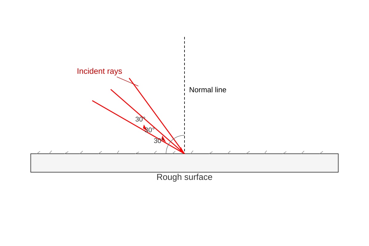 Diagram for Q19 (SEC1 Science)