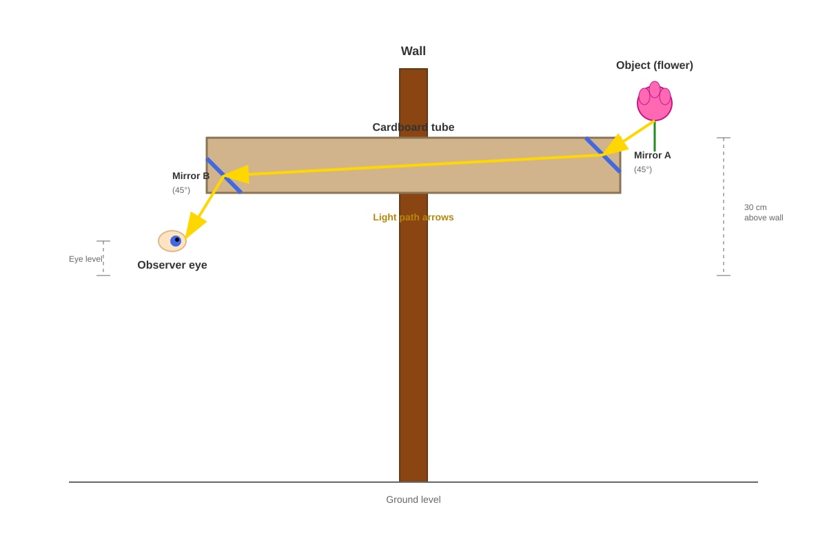Diagram for Q20 (P4 Science)