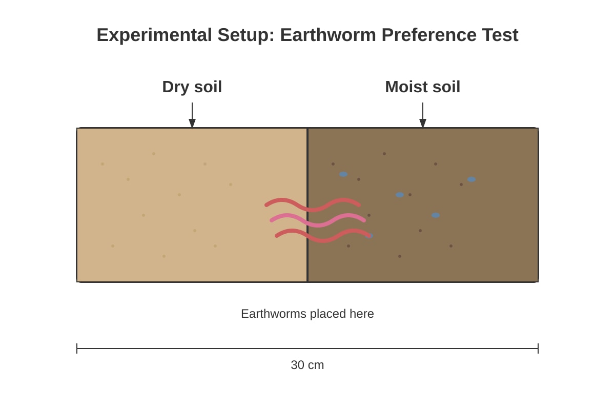 Diagram for Q11 (P4 Science)