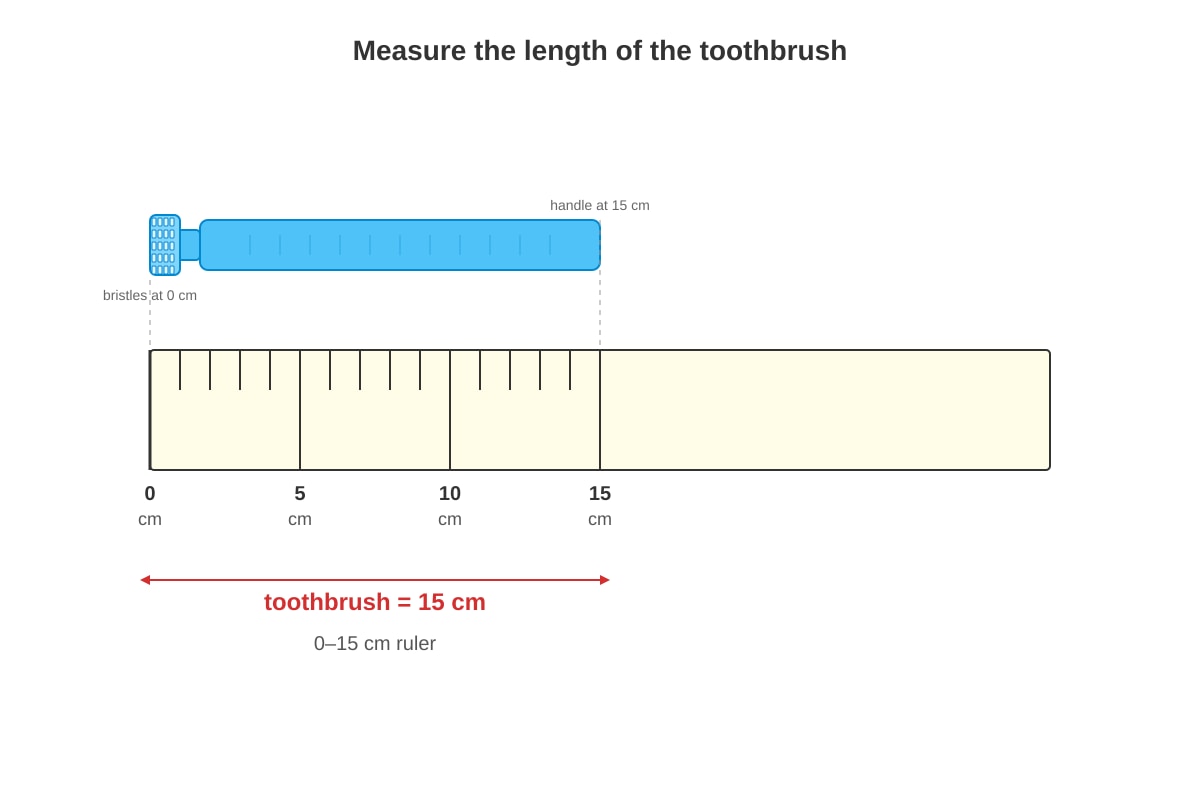 Figure for Q10 (P1 Maths)