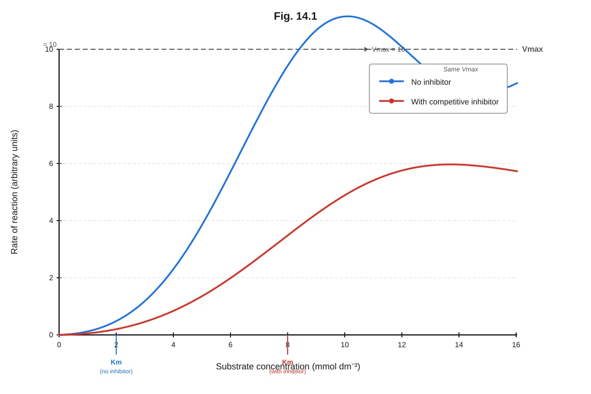 Graph for Q14 (ALEVEL Biology H1)