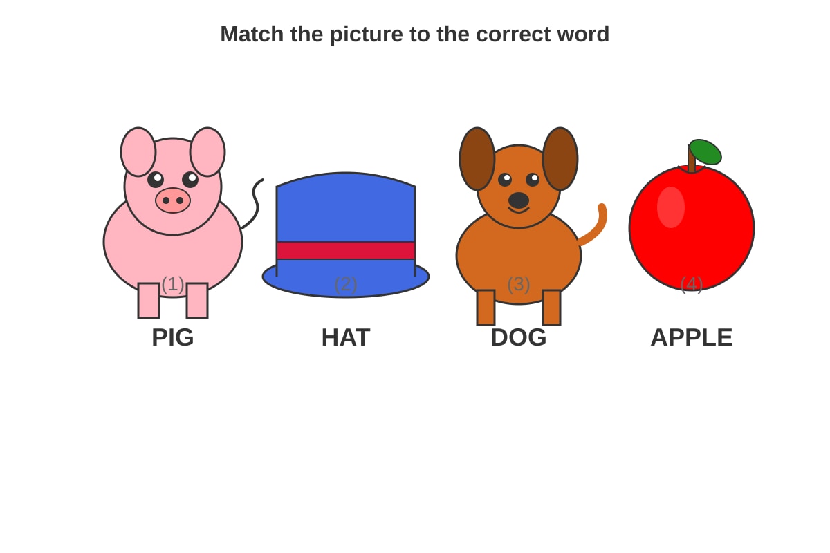 Diagram for Q3 (P1 English)