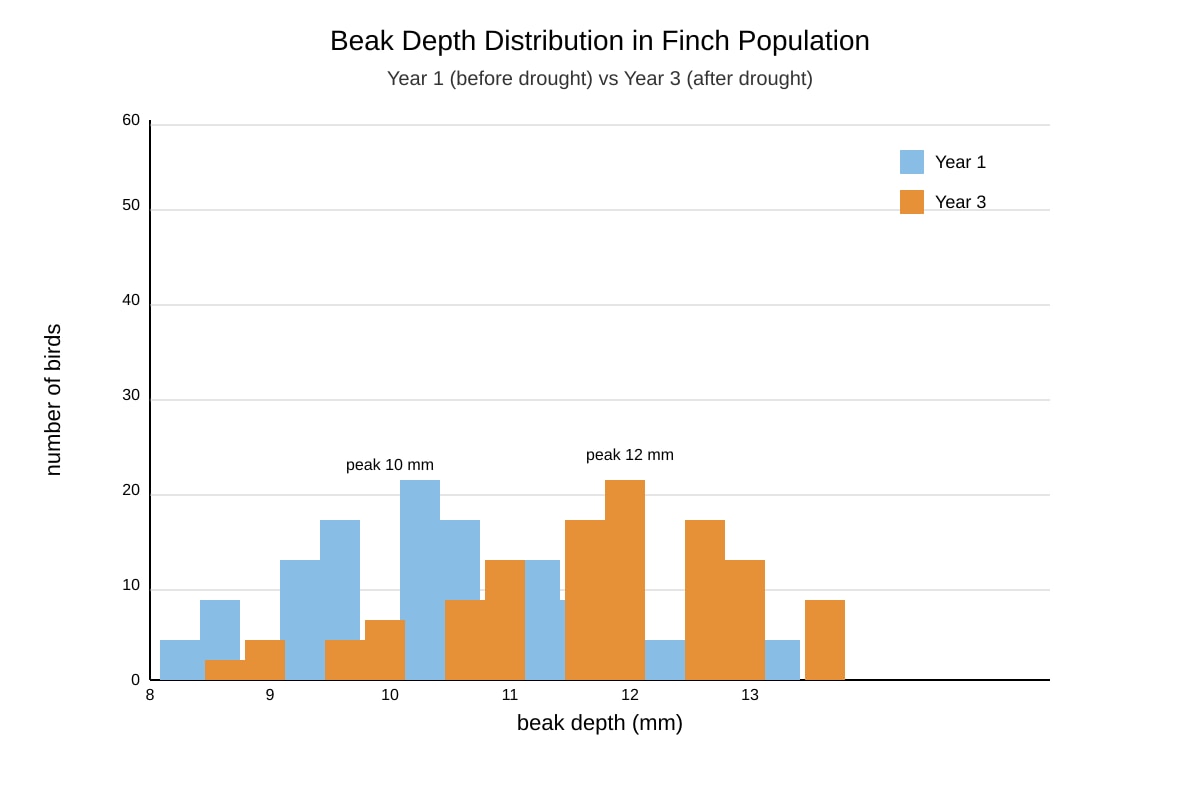 Graph for Q18 (SEC3 Biology)