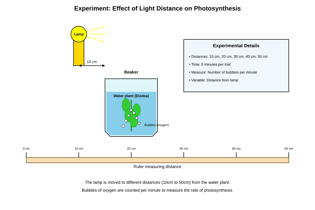 Experimental Setup for Q38 (P6 Science)