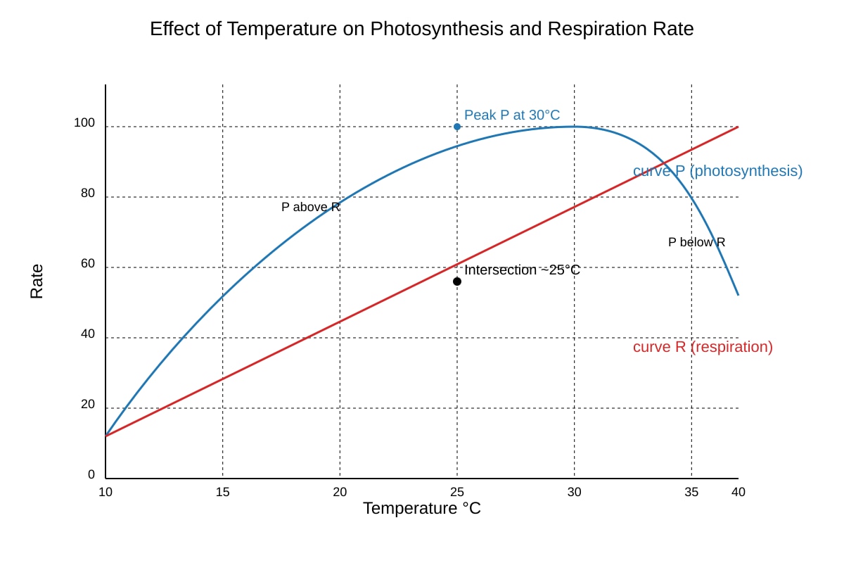 Graph for Q18 (SEC4 Pure Biology)