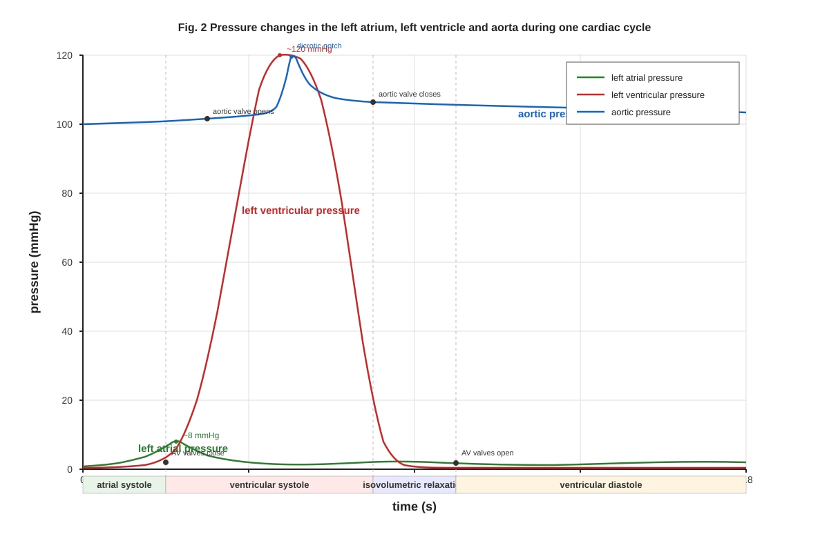 Graph for Q4 (ALEVEL Biology H1)