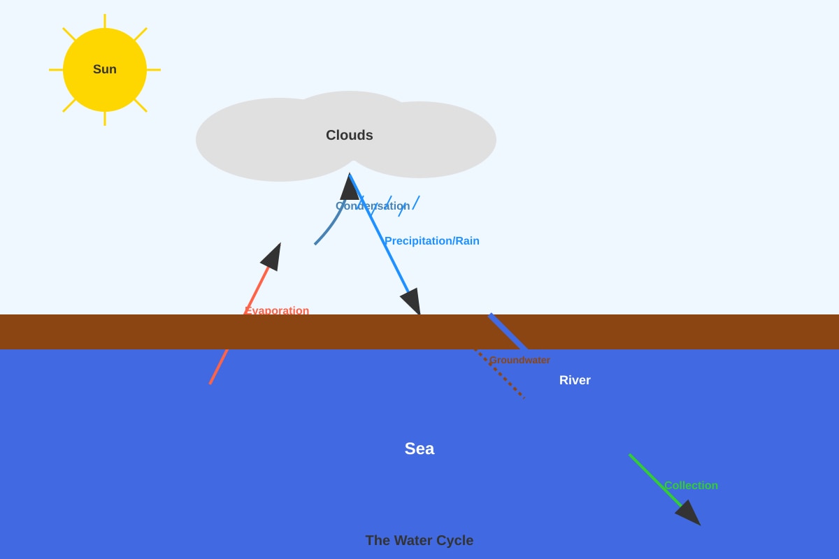 Diagram for Q11 (P5 Science)