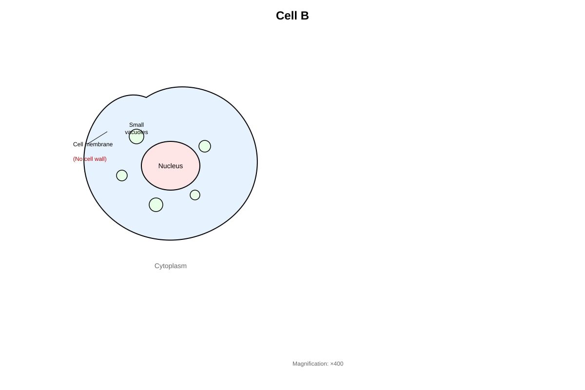 Diagram for placeholder 2 (SEC4 Combined Sci Bio)