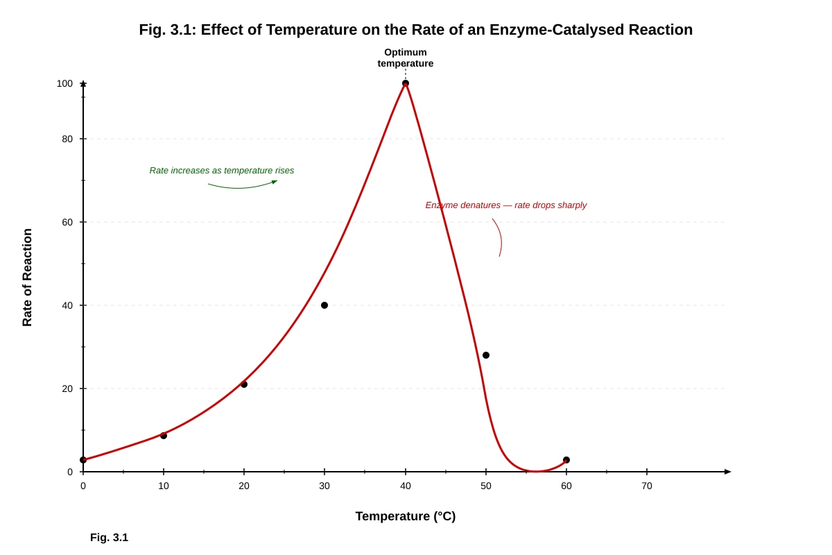 Graph for placeholder 1 (OLEVEL Biology)