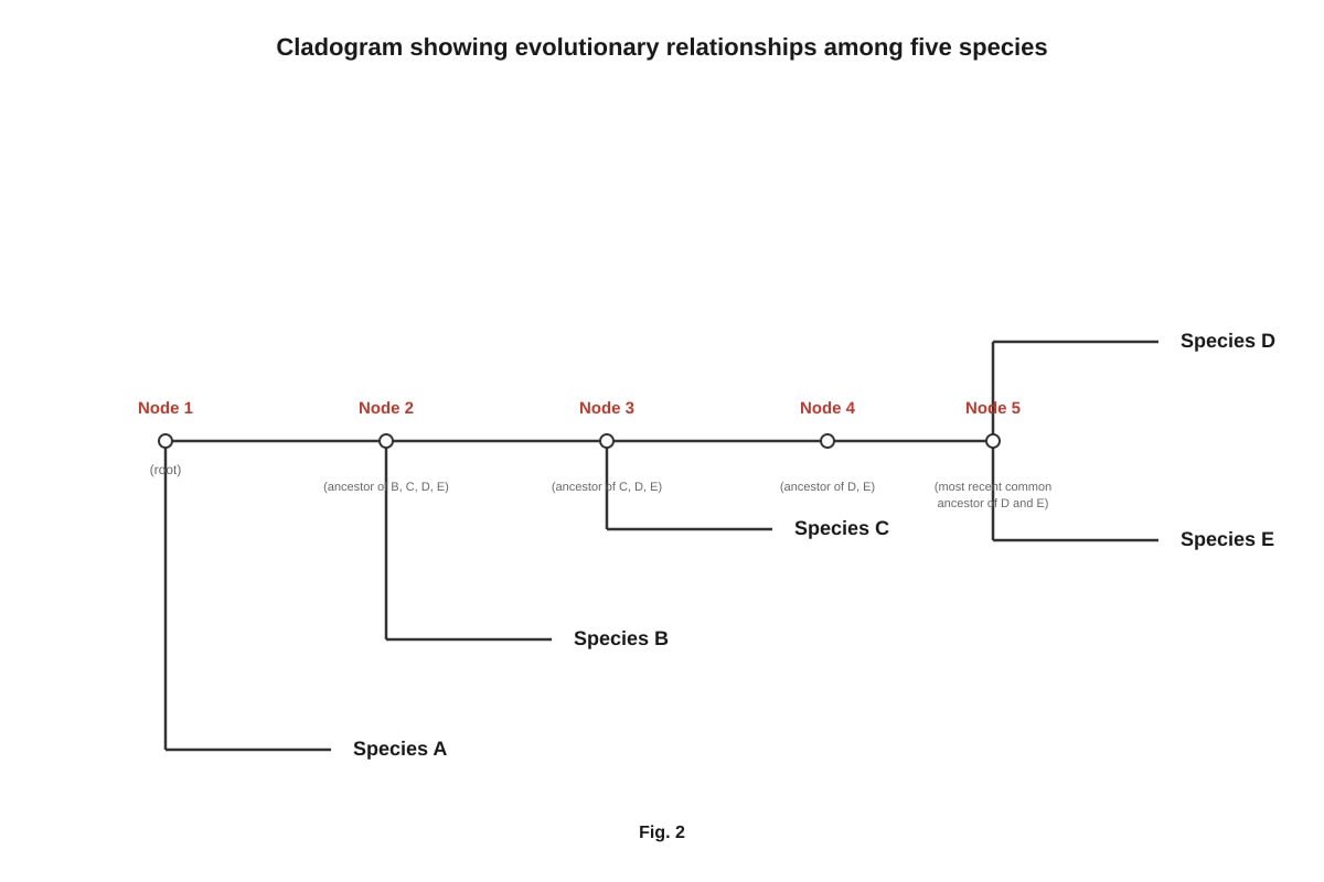 Diagram for Q14 (ALEVEL Biology H1)