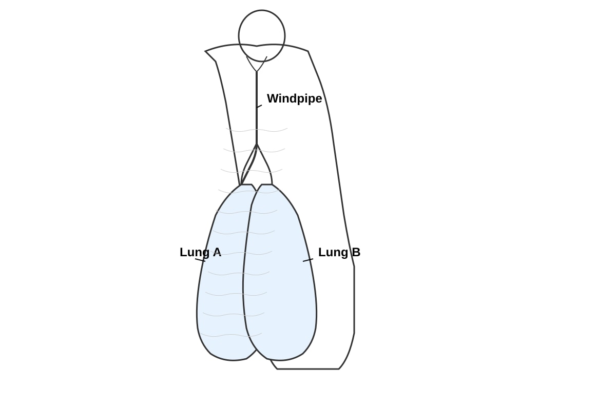 Diagram for Q2 (P5 Science)