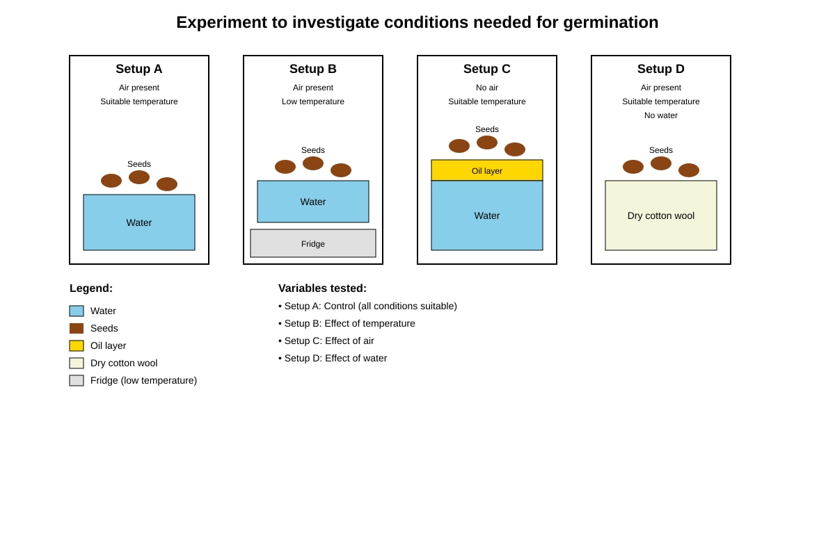 Experimental Setup for Q37 (P6 Science)
