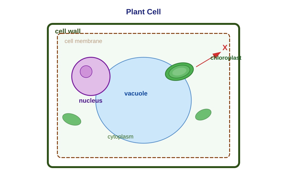 Diagram for Q1 (P5 Science)