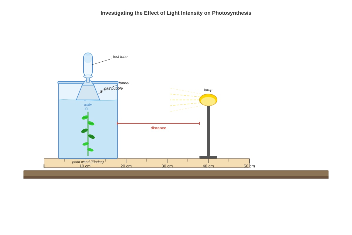 Experimental Setup for Q4 (SEC3 Biology)