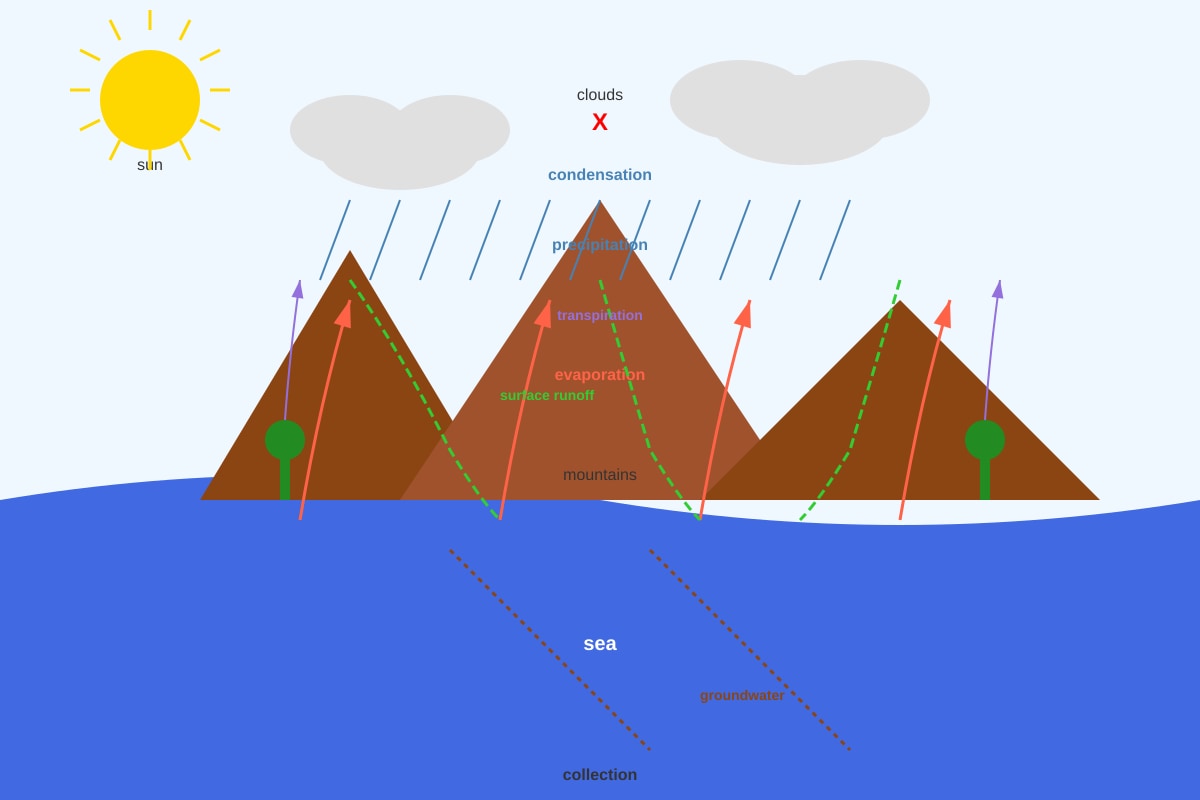 Diagram for Q32 (P6 Science)