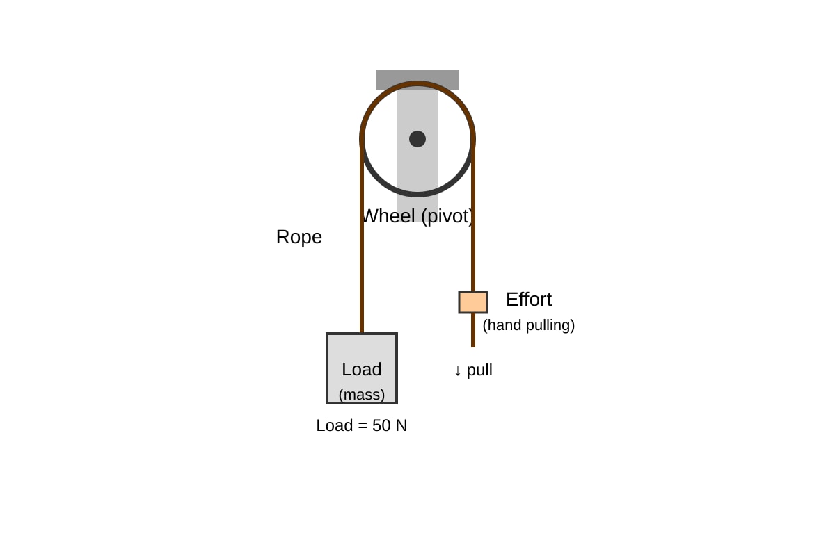 Diagram for Q7 (SEC1 Science)
