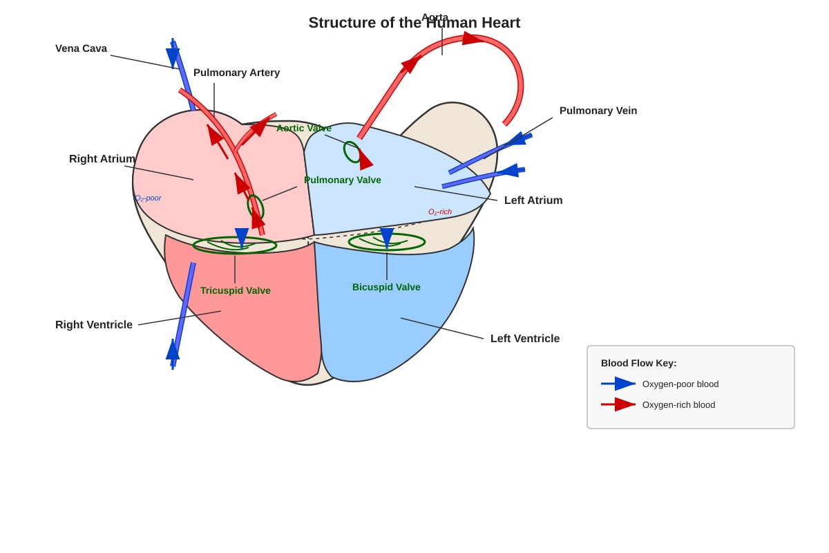 Image for placeholder 7 (ALEVEL Biology H1)
