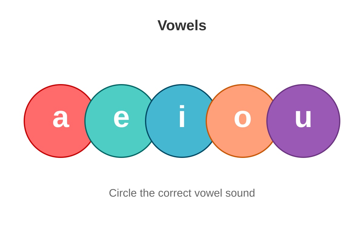 Diagram for Q5 (P1 English)