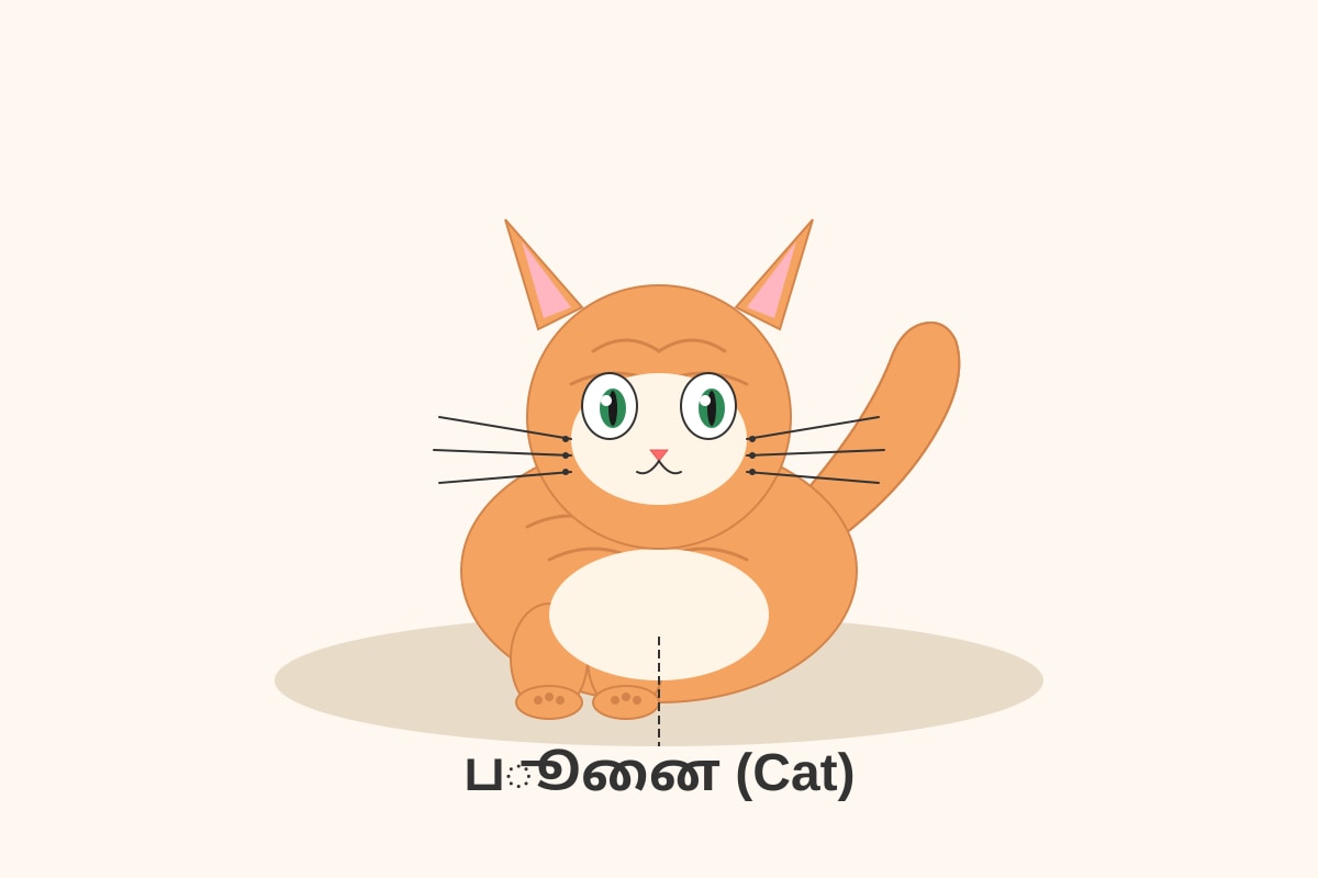 Figure for Q5 (P1 Tamil)