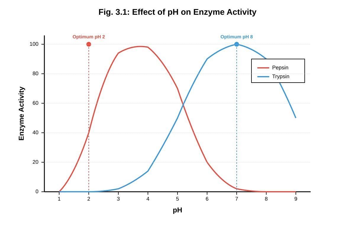 Graph for placeholder 2 (SEC4 Pure Biology)