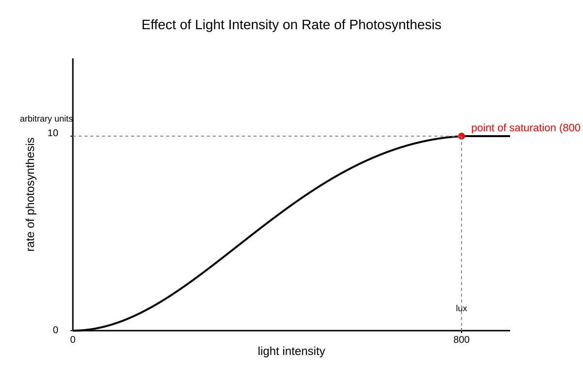 Graph for Q15 (SEC3 Biology)