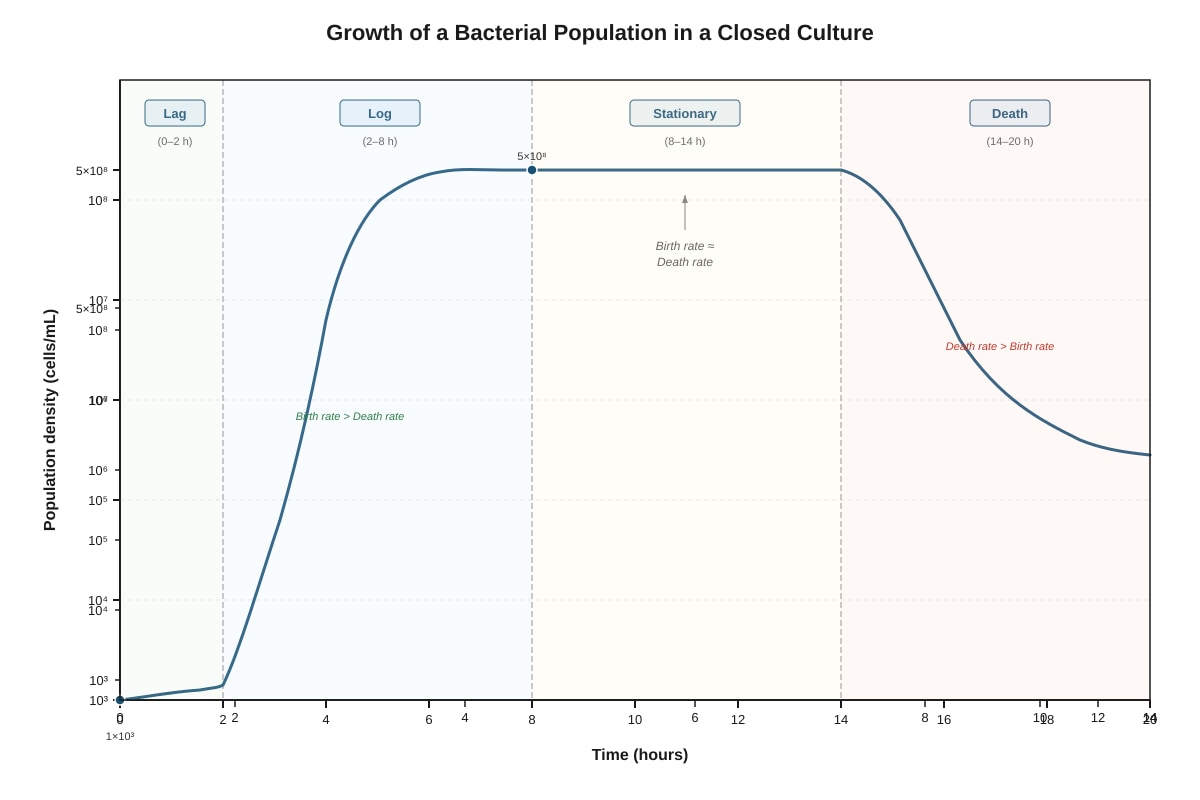 Graph for Q5 (SEC3 Biology)