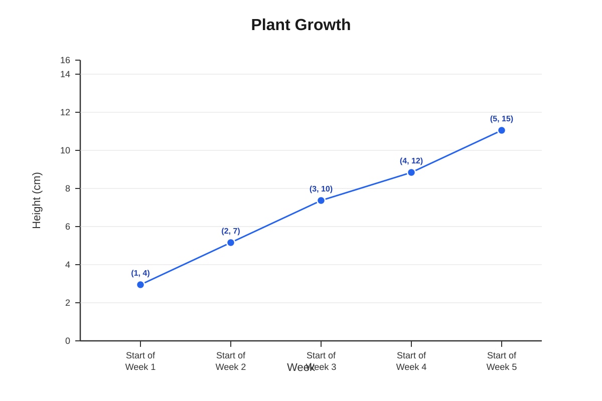Graph for Q8 (P5 Maths)