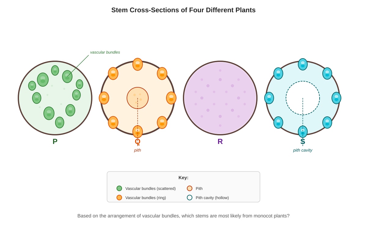 Diagram for Q14 (P6 Science)