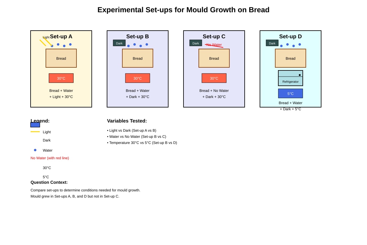Experimental Setup for Q23 (P4 Science)
