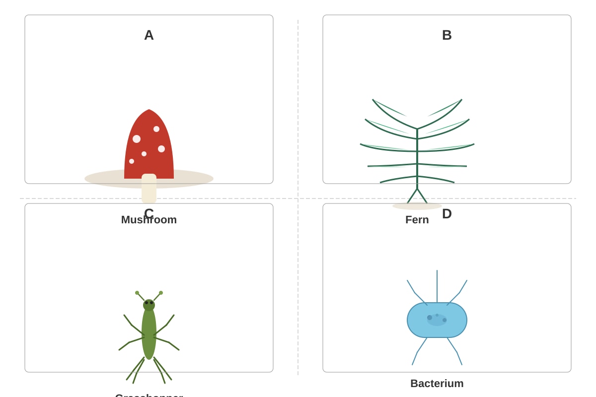 Diagram for Q2 (P6 Science)
