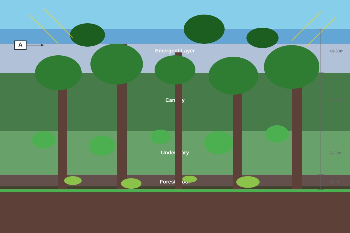 Figure for placeholder 2 (SEC1 Geography)