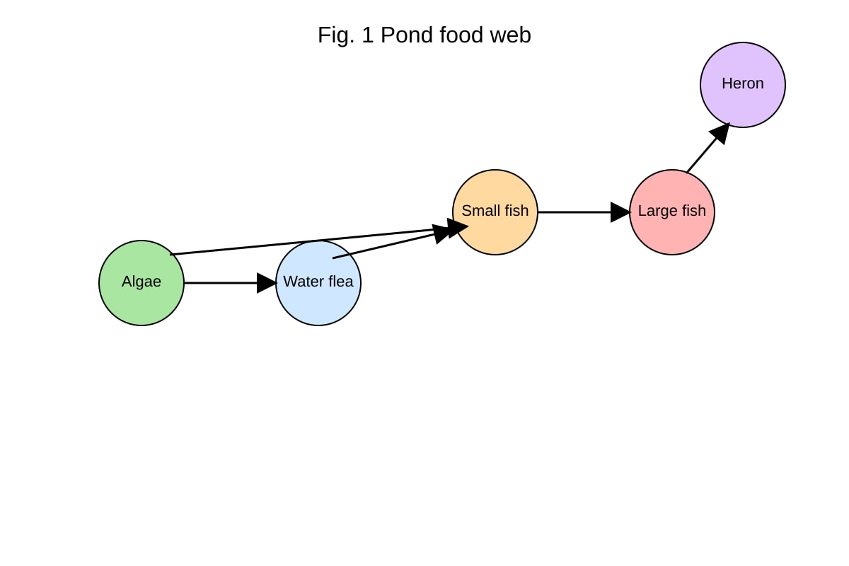 Diagram for Q11 (ALEVEL Biology H1)