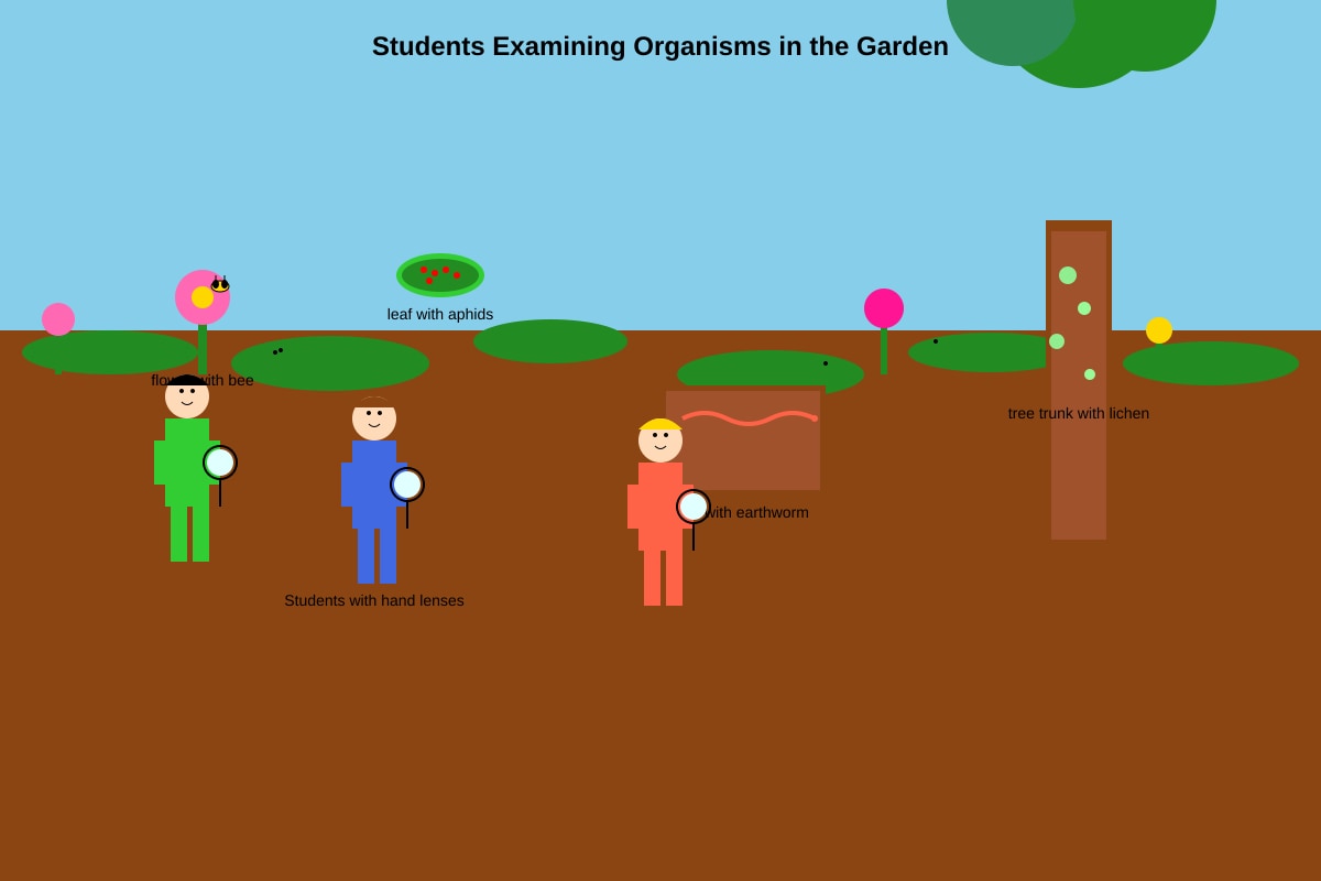 Diagram for Q16 (P6 Science)