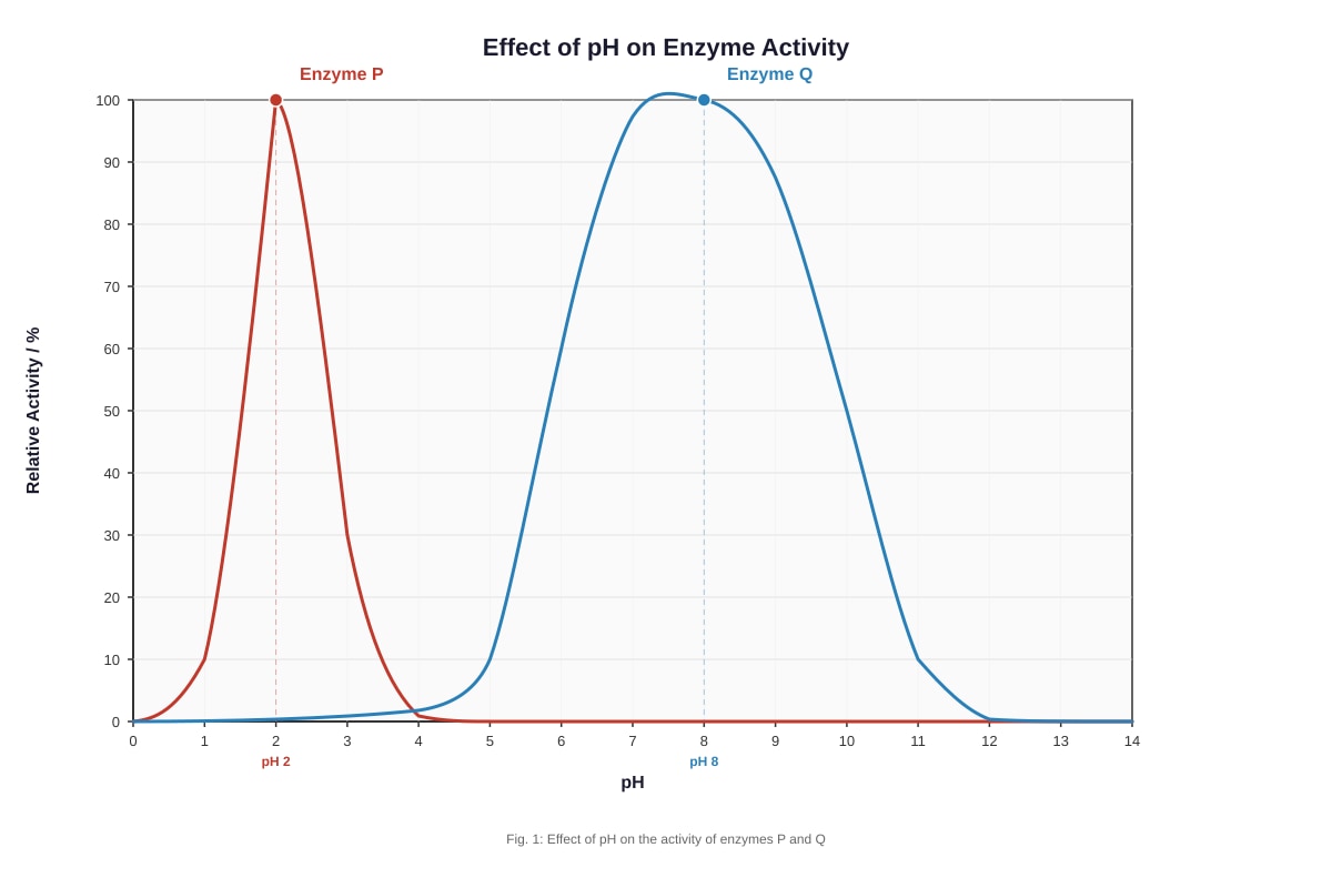 Graph for Q3 (SEC3 Biology)