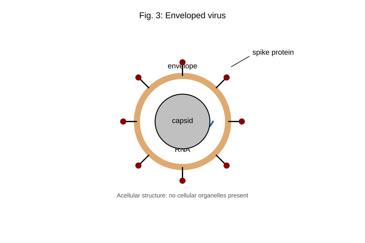 Diagram for Q9 (ALEVEL Biology H2)