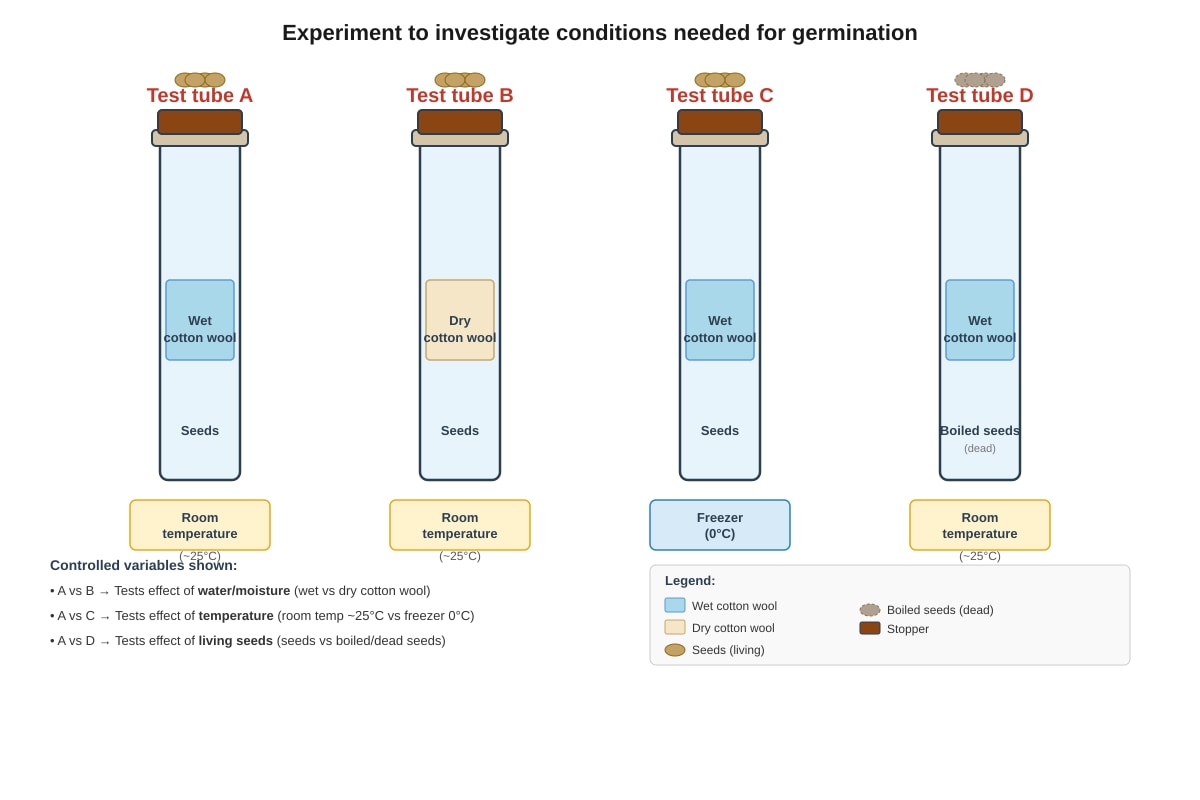 Experimental Setup for Q40 (P5 Science)