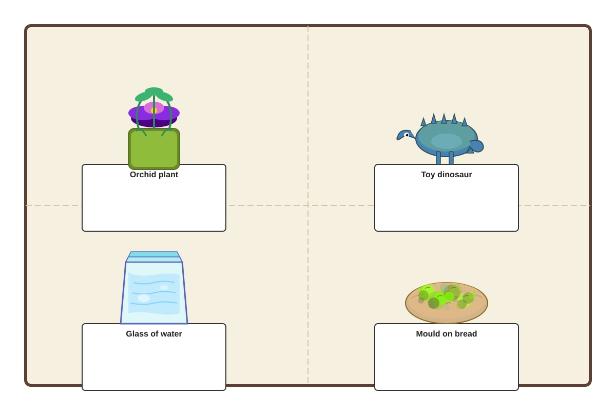 Diagram for Q14 (P3 Science)