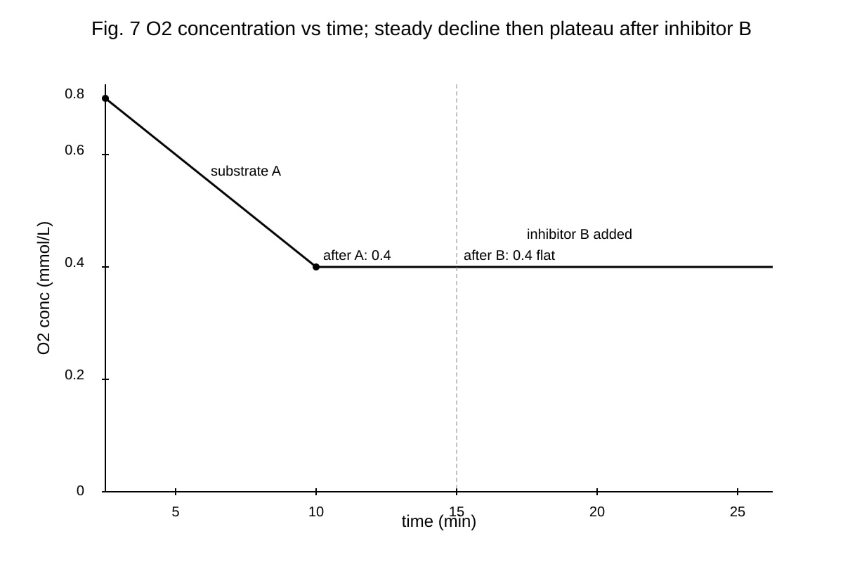 Graph for Q18 (ALEVEL Biology H2)