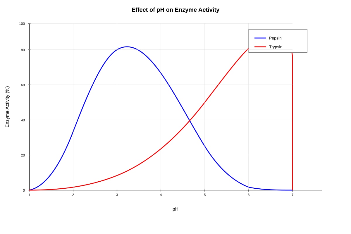 Graph for placeholder 4 (OLEVEL Biology)