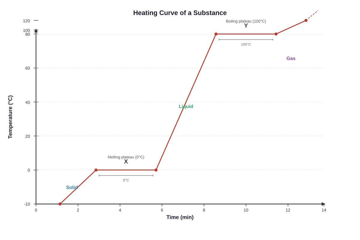 Graph for Q42 (P5 Science)
