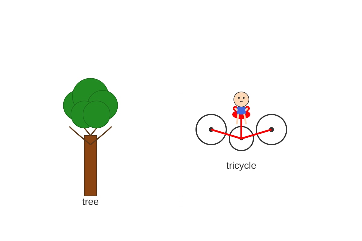 Diagram for Q12 (P1 English)