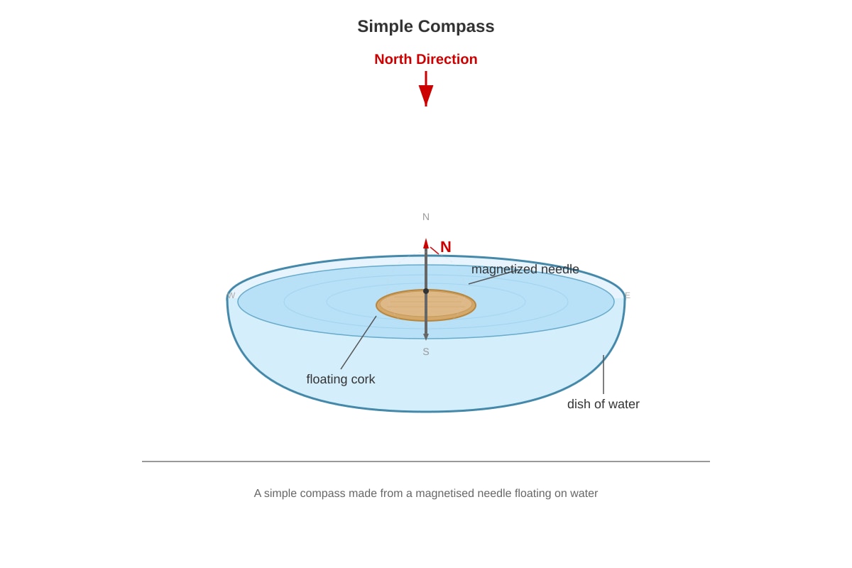 Diagram for Q19 (P4 Science)