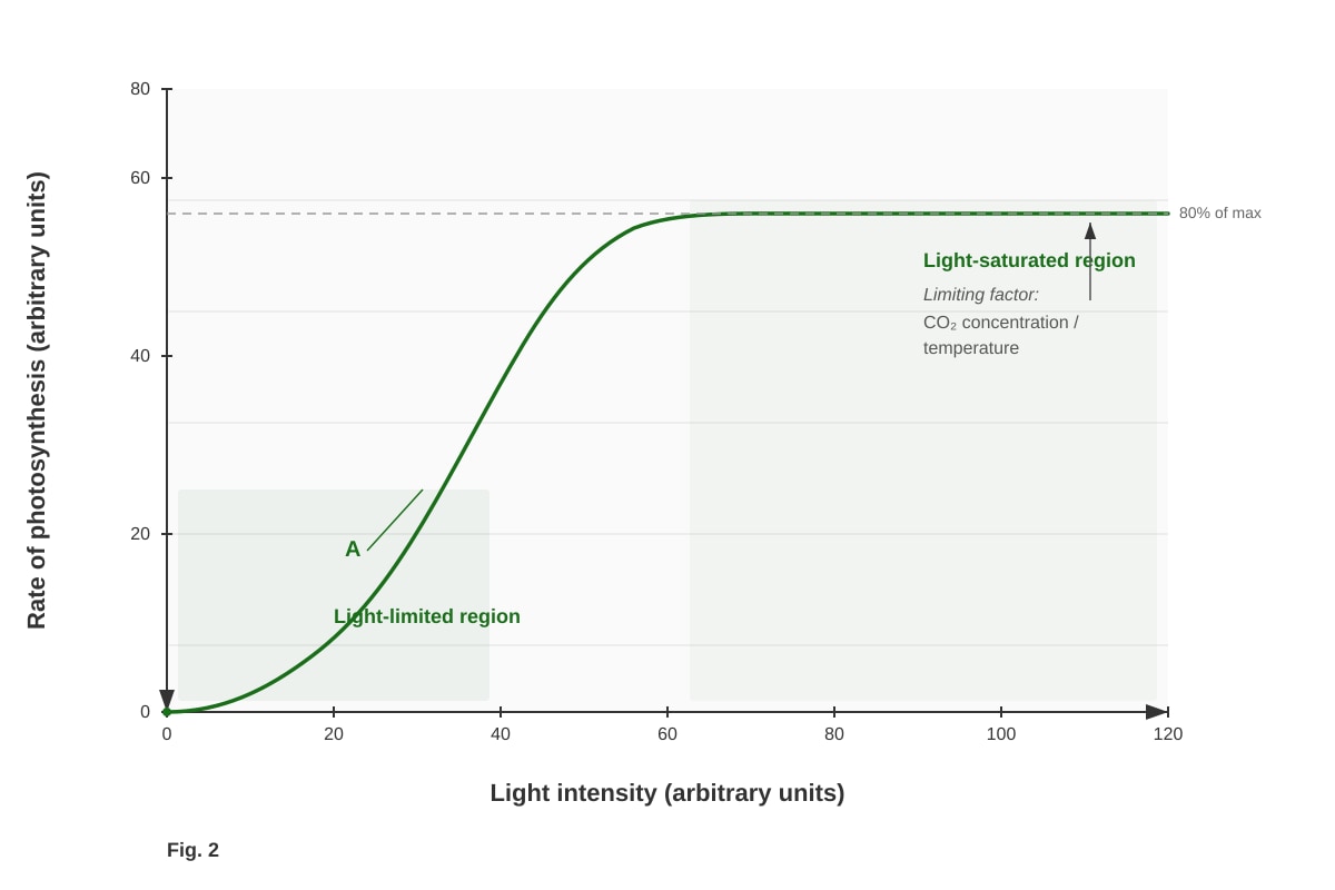 Graph for Q8 (ALEVEL Biology H1)
