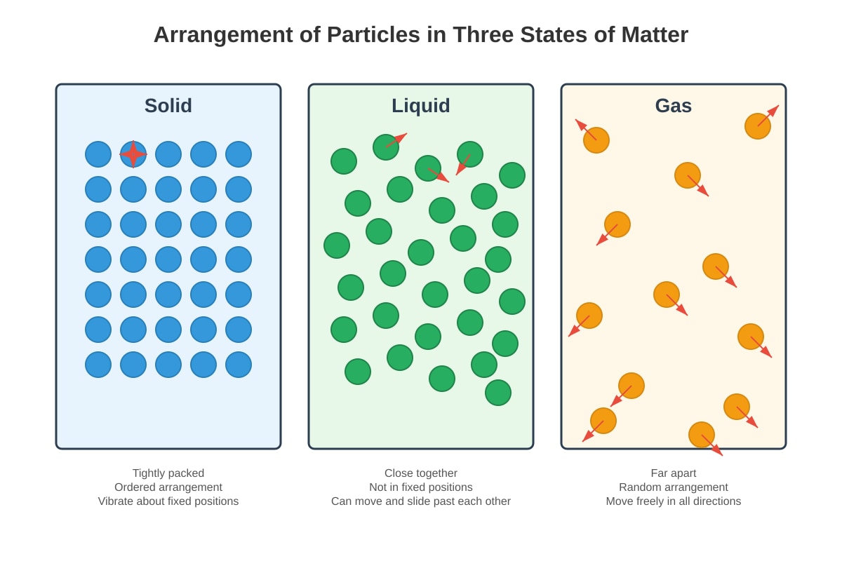 Diagram for Q22 (P5 Science)