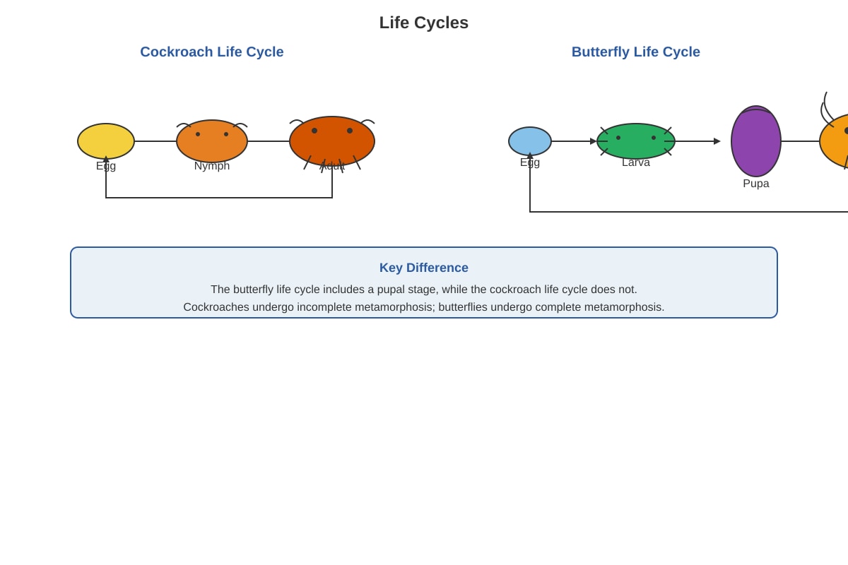 Diagram for Q16 (P4 Science)