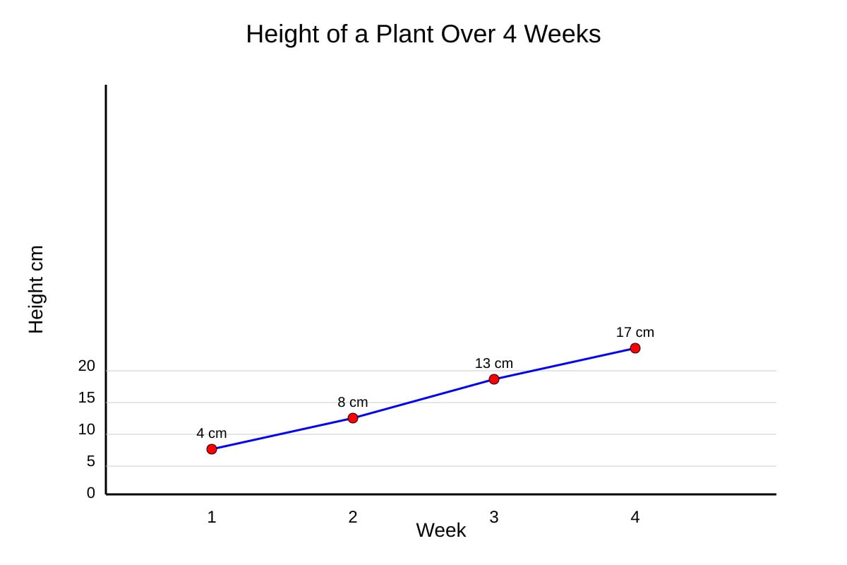 Graph for Q13 (P5 Maths)